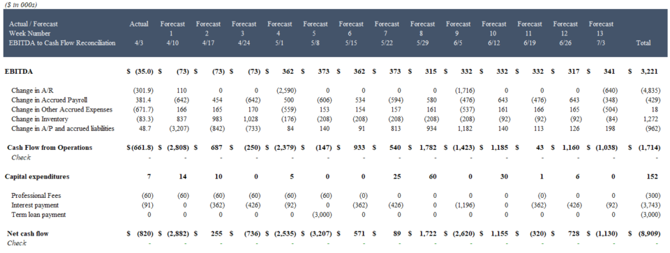 How to Build a 13-Week Cash Flow Forecast? image 5
