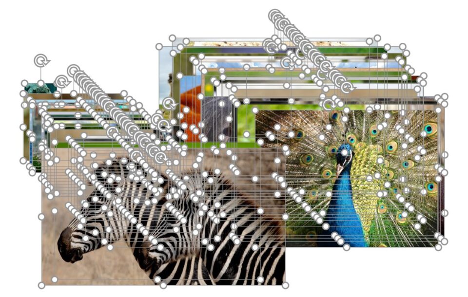 PowerPoint Power Cropping image 1