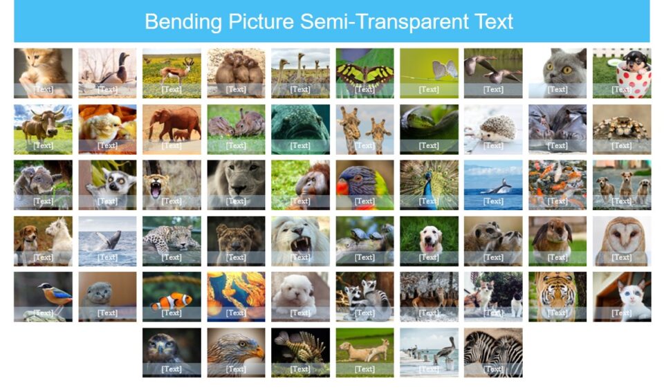 PowerPoint Power Cropping image 4