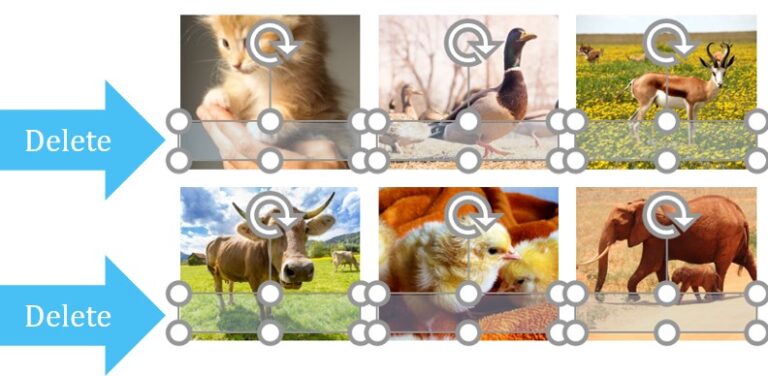 PowerPoint Power Cropping image 5