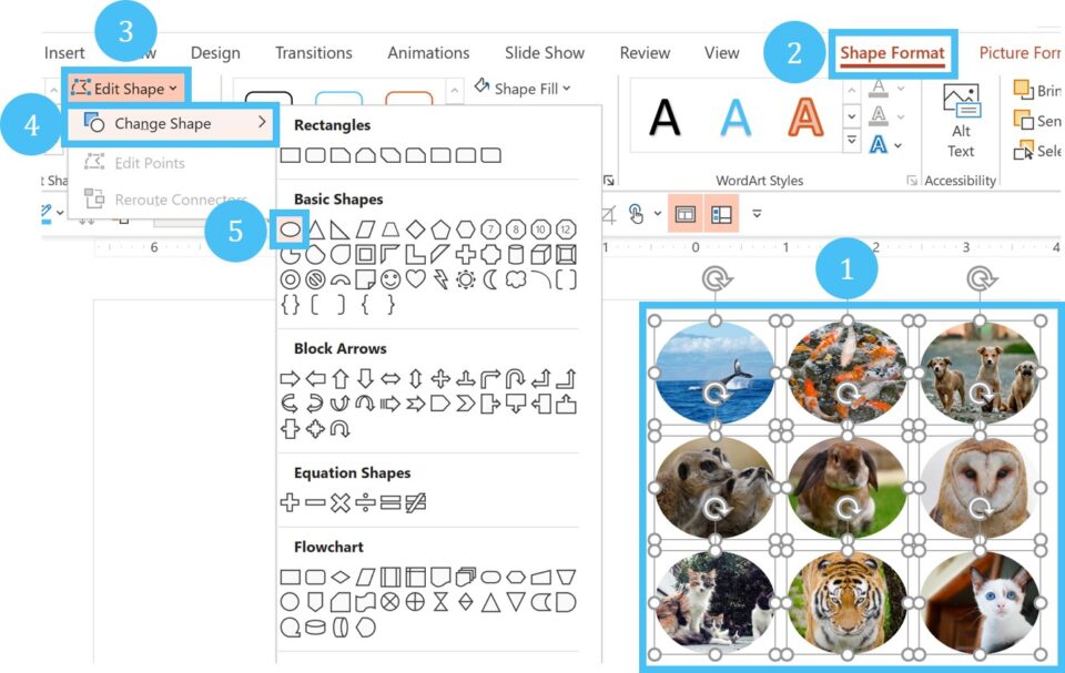 PowerPoint Power Cropping image 7