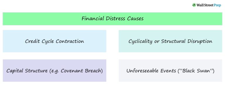 Financial Distress Causes