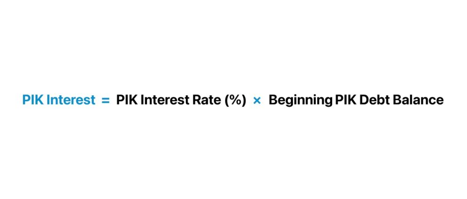 PIK Interest