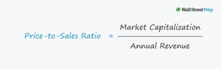 Price to Sales Ratio (P/S)