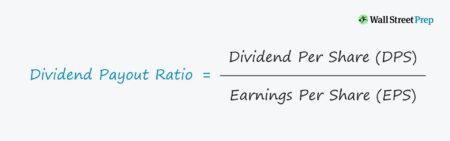 Dividend Payout Ratio