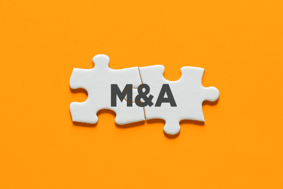 M&A Guide