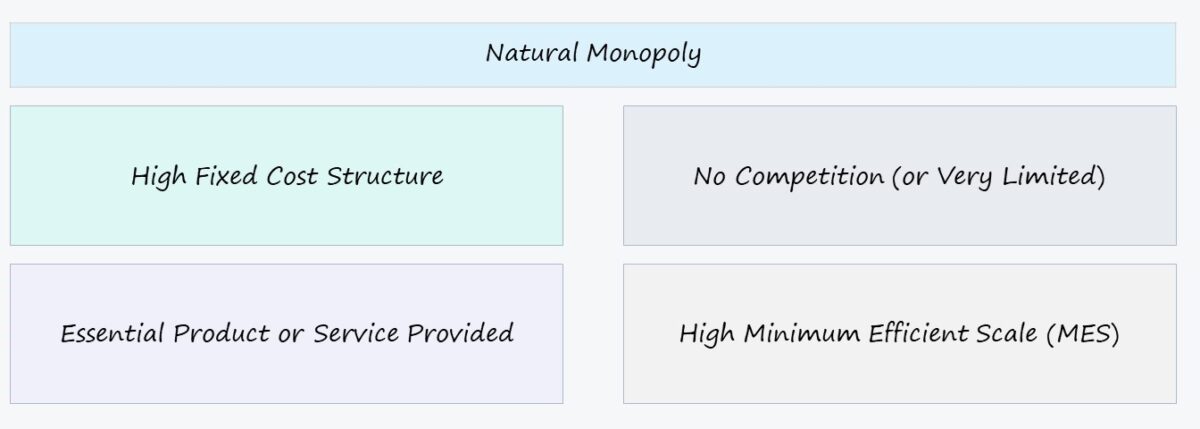 Natural Monopoly Market in Economics