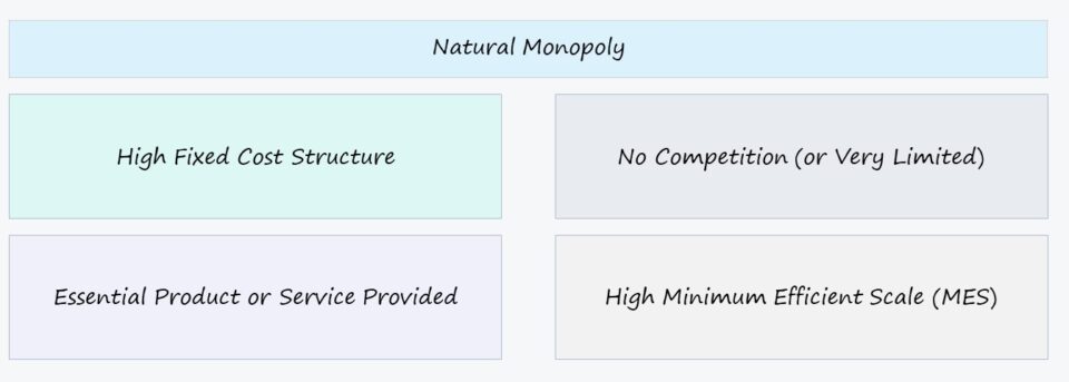 Natural Monopoly