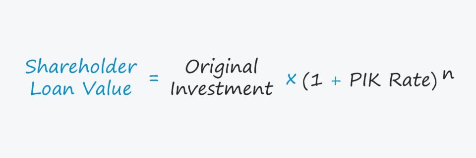 Shareholder Loan