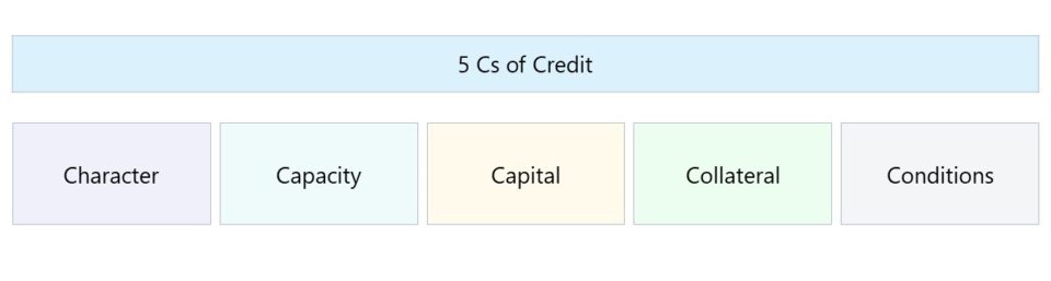 5 Cs of Credit