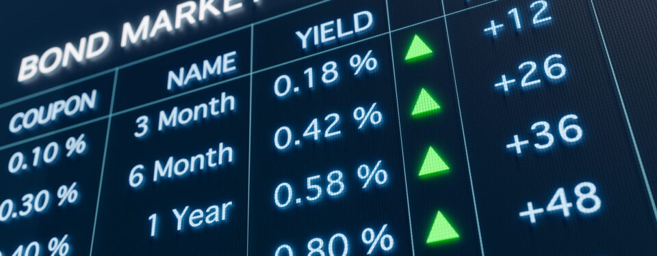Debt Capital Markets (DCM)