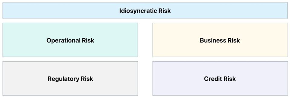 Idiosyncratic Risk