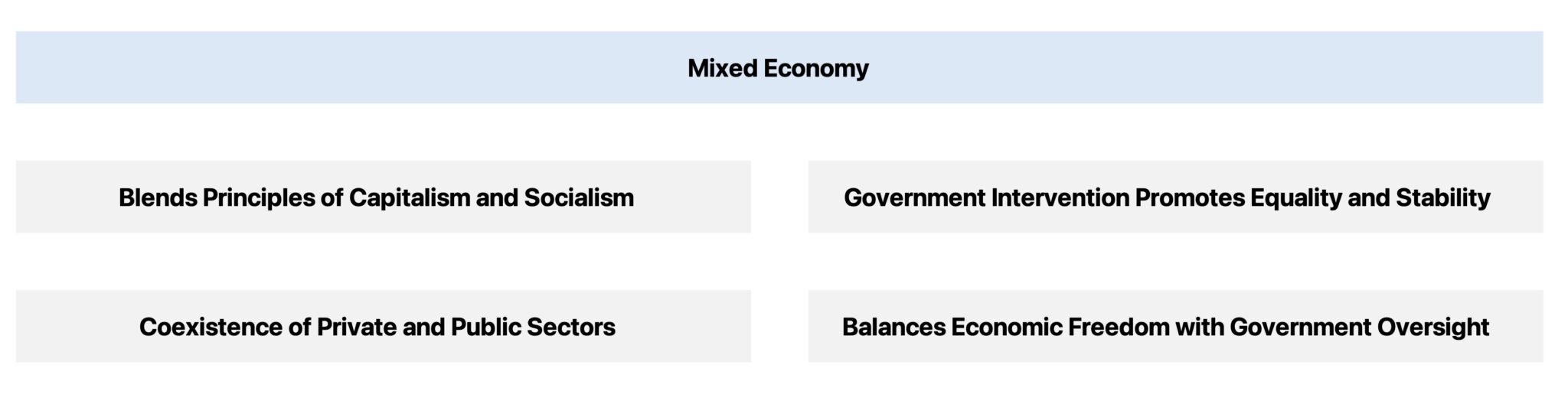 Mixed Economy