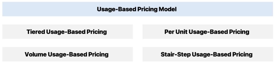 Usage-Based Pricing (UBP)